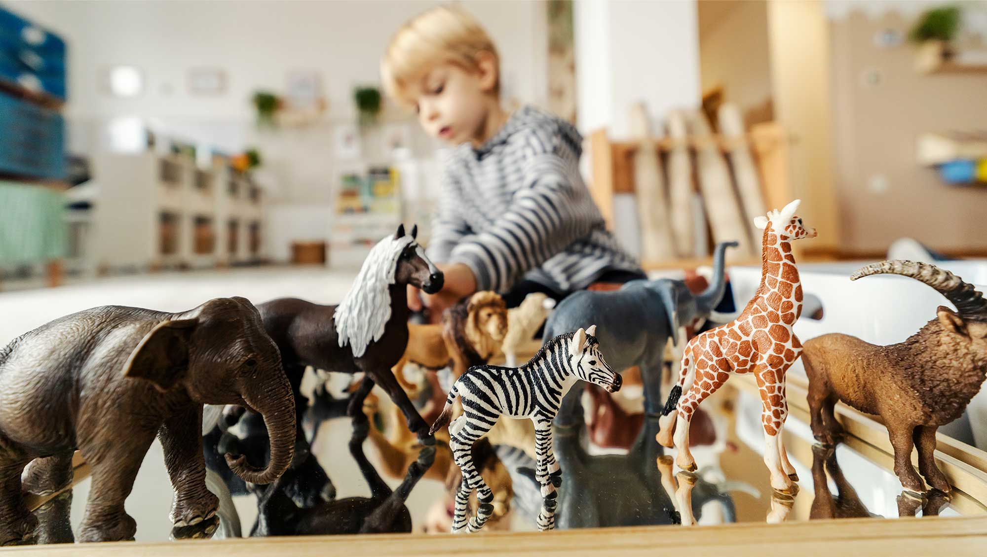 The 5 Principles of the Montessori Method – 7 Continents Montessori